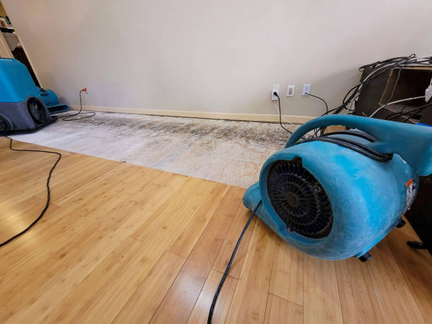 Reliable Water Damage Restoration contractor in Marshall, IL by Hirex Water Damage