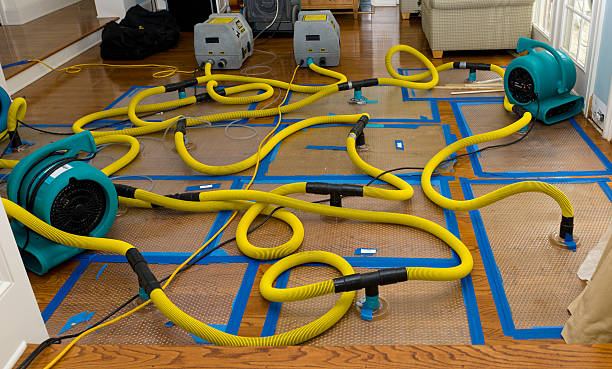 Professional Water Damage Restoration technician working in Marshall, IL